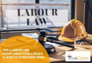 Top 5 labour law complaince